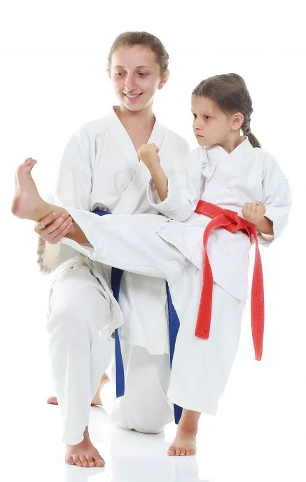 Family Martial Arts Program